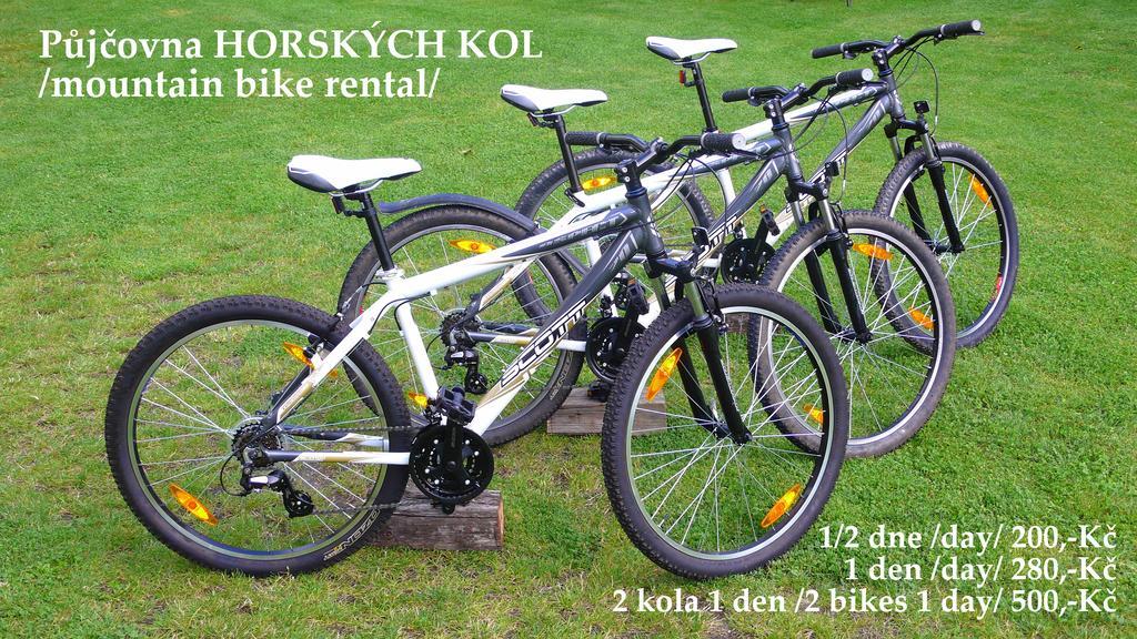 Penzion Fousek Zvikovske Podhradi Luaran gambar
